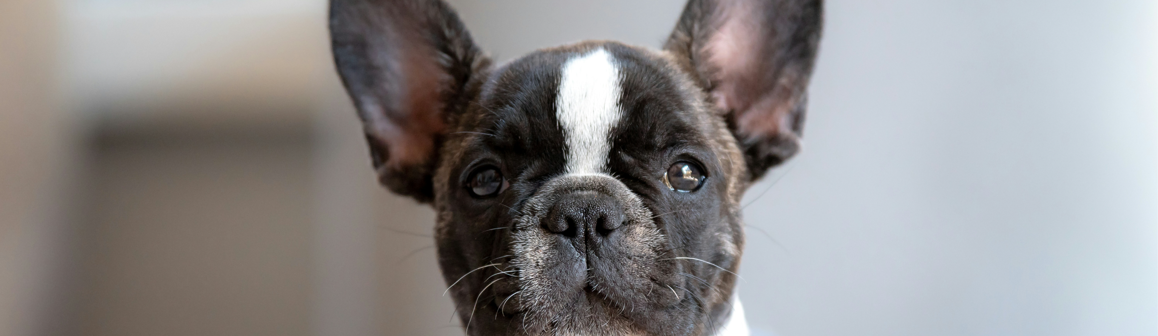 初診の方へお願いのメインビジュアル