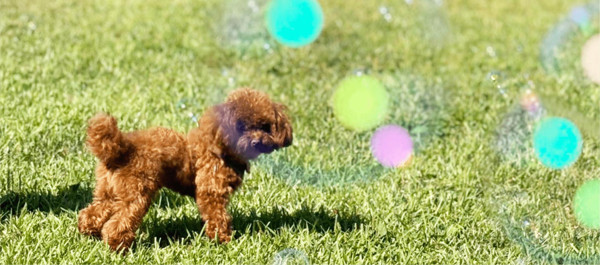 診療案内ページのメインビジュアル