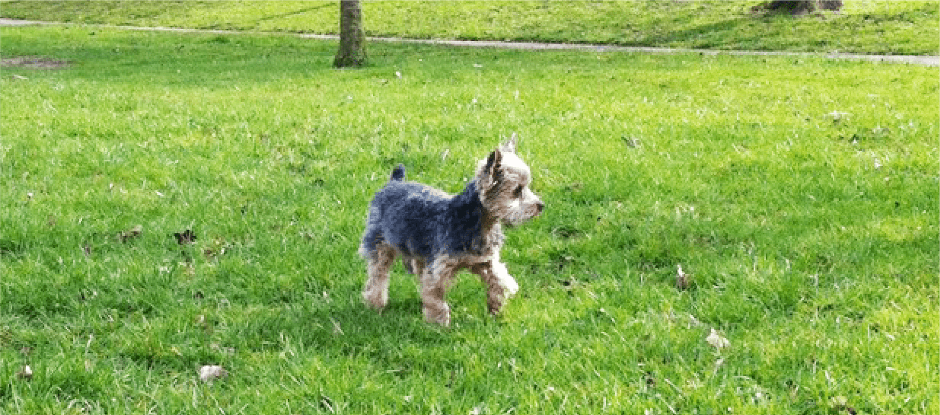 トップページのメインビジュアル2