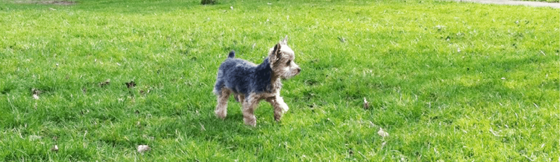 当院についてのページメインビジュアル