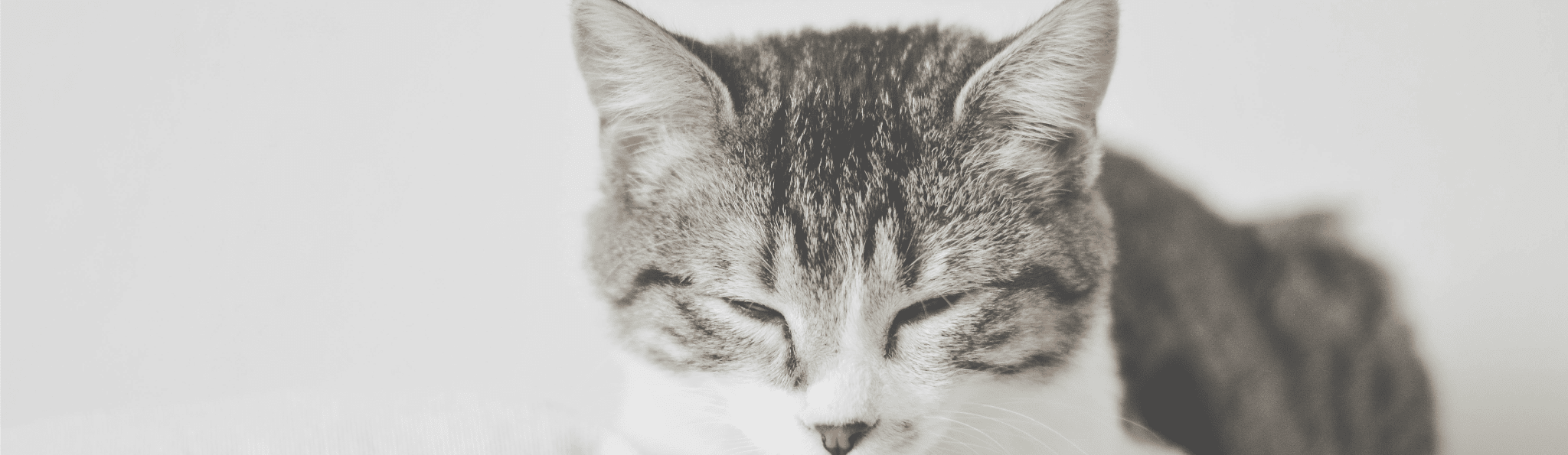 施設案内ページのメインビジュアル