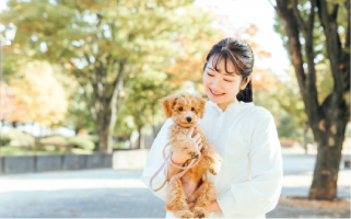 ブログサムネイル