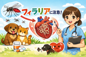 フィラリア症にご注意ください！春から始まる大切な予防